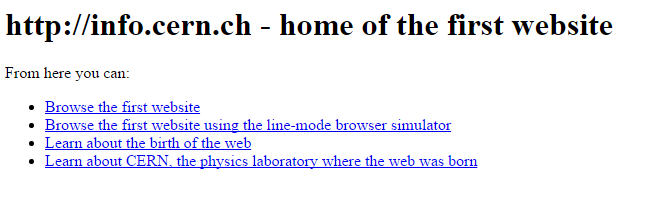 The first website. Kittens and traffic cones came later.